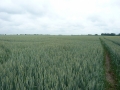 webimage_004