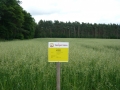 webimage_005