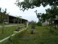 webimage_006