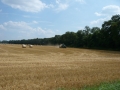 webimage_010