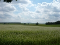 webimage_012